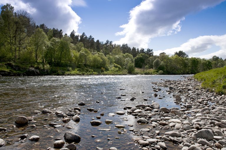 A View from Durward Gardens