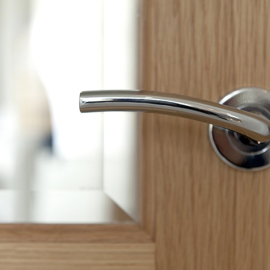 Ecclesgreig Gardens Door Handle