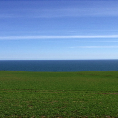 The Views, View